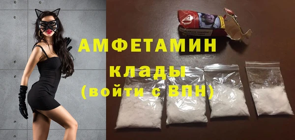 стафф Вяземский