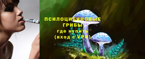 стаф Вязники