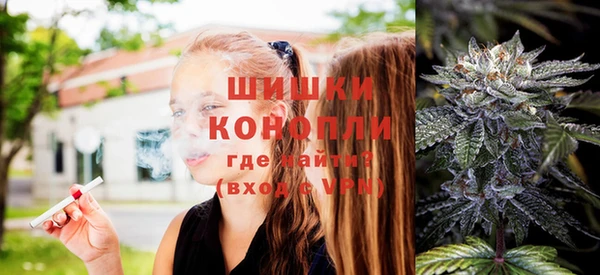 стаф Вязники