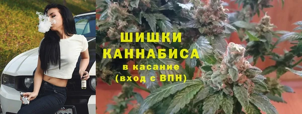стафф Вяземский