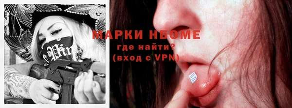 стаф Вязники